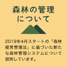 森林の管理について