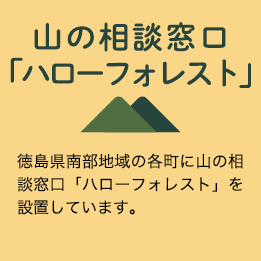 山の相談窓口「ハローフォレスト」