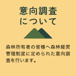 意向調査について