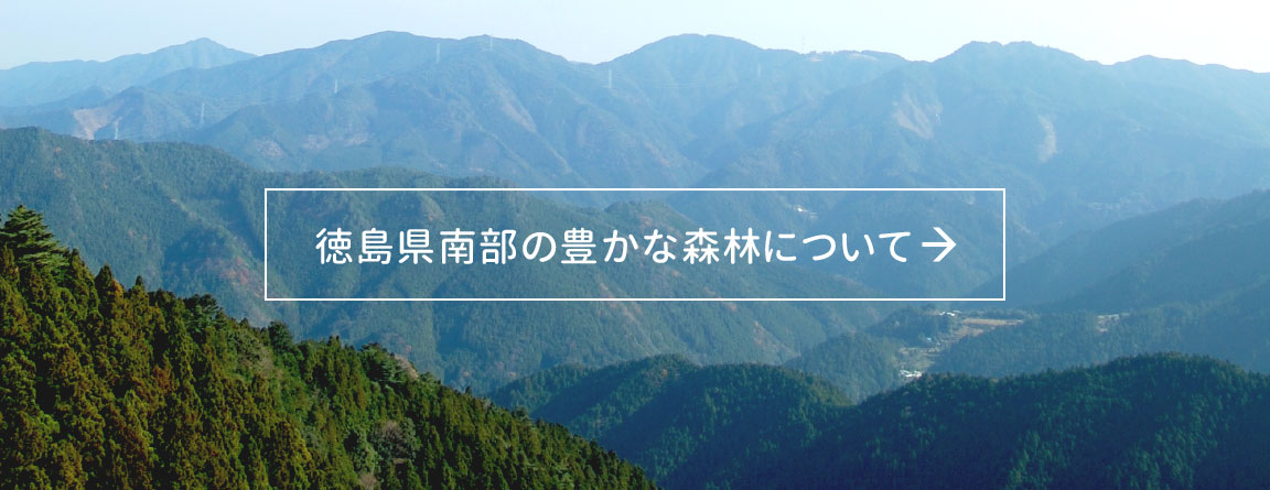 徳島県南部の豊かな森林について